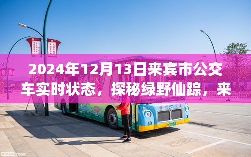 探秘绿野仙踪，来宾市公交之旅的心灵觉醒与实时状态（2024年12月13日）