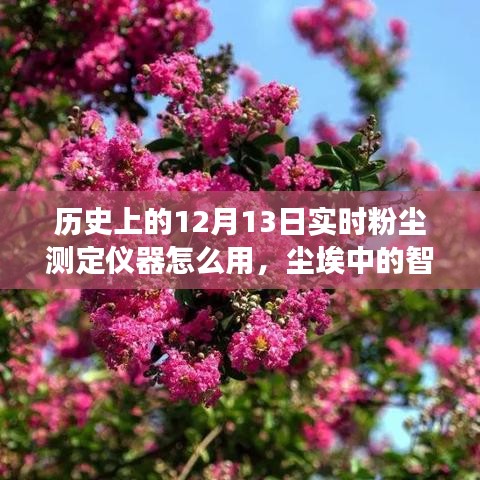实时粉尘测定仪器的历史演变与实战指南，尘埃中的智慧火花，使用教程及历史回顾（12月13日特别篇）