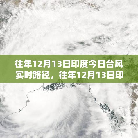 第1114页