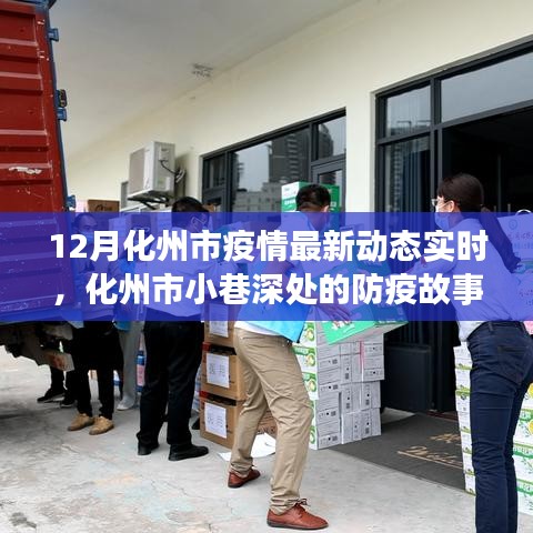 化州市疫情最新动态，小巷深处的防疫故事与独特小店的温暖邂逅