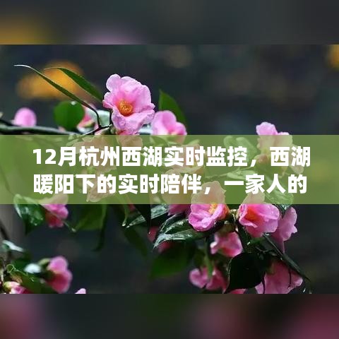 西湖暖阳下的温馨时光，家庭实时陪伴与监控记录