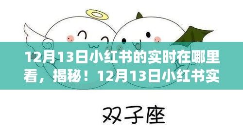 揭秘新功能，如何查看12月13日小红书实时动态，科技魅力重塑生活体验！