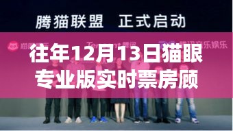 深度解析与回顾，猫眼专业版实时票房下的顾魏角色影响力回顾（历年12月13日）