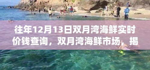 揭秘双月湾海鲜市场，历年12月13日海鲜实时价格变迁与故事探寻