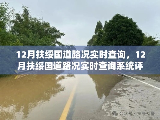知错就改 第3页