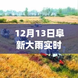 百不得一 第2页