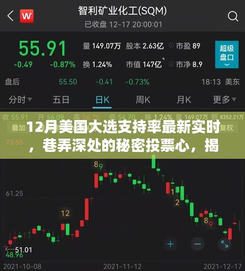 揭秘美国大选支持率变化与一家独特小店的秘密投票心故事