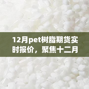 十二月Pet树脂期货市场波动与实时报价深度解析