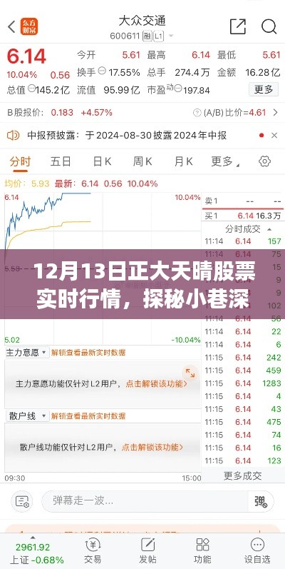 揭秘正大天晴股票实时行情与小巷特色小店的背后故事（12月13日）