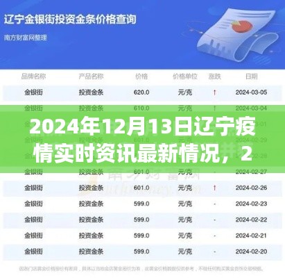 2024年12月13日辽宁疫情最新实时资讯，防控进展与应对策略聚焦