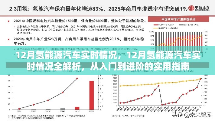 实用指南，12月氢能源汽车实时情况全解析——从新手到专家的进阶之路