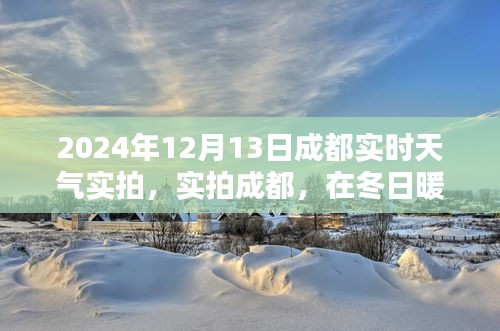 冬日暖阳下的成都实拍，寻找内心的宁静与力量