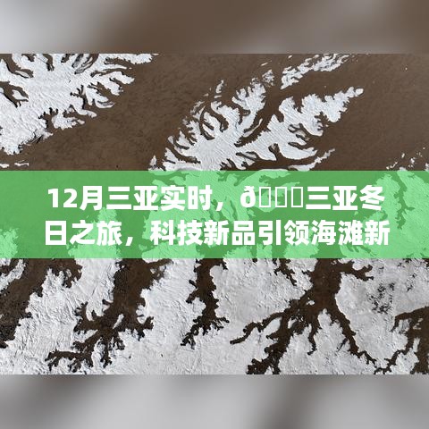 12月三亚实时，科技新品引领海滩新风尚，体验未来生活的无限可能——三亚冬日之旅