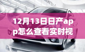 日产app实时视频查看指南，多方观点与个人立场解析（12月13日版）