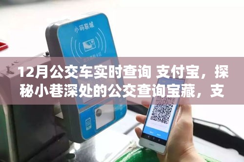 支付宝带你领略公交查询宝藏，探秘小巷深处，实时掌握公交动态