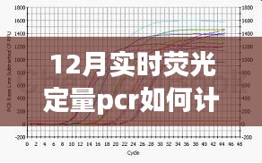 掌握实时荧光定量PCR计算技巧，开启科研之旅的新篇章