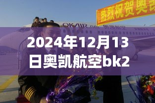 奥凯航空BK2821航班实时动态查询指南，初学者快速掌握指南（日期，2024年12月13日）