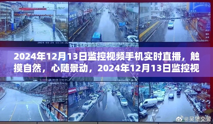 触摸自然，心随景动，2024年12月13日监控视频手机实时直播大自然之旅