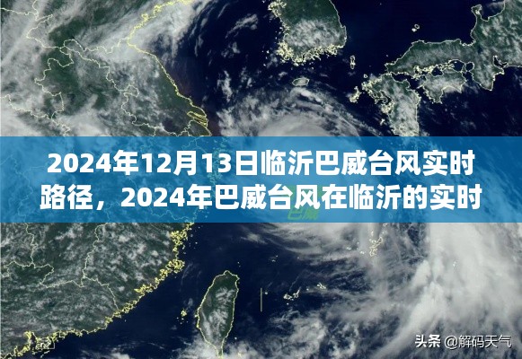 巴威台风实时路径追踪深度分析，临沂地区台风动态与影响