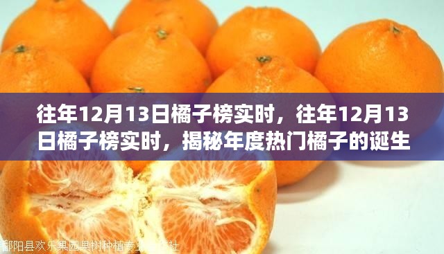 揭秘年度热门橘子诞生与成长，历年12月13日橘子榜实时回顾
