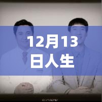 新手指南，如何利用猫眼平台关注人生路不熟实时票房，洞悉电影市场动态