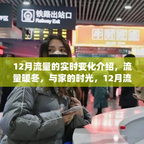12月流量实时变化揭秘，暖冬流量高峰与家的奇妙时光