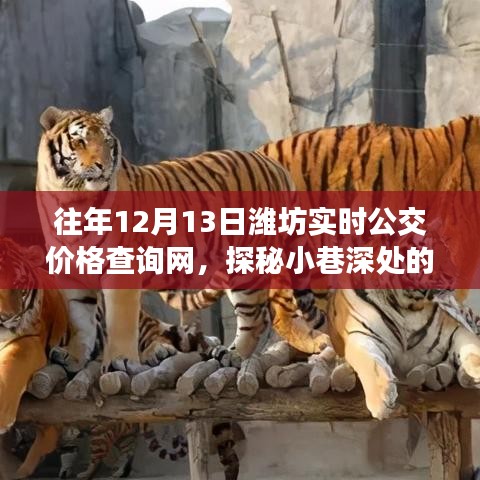 探秘小巷深处的公交情缘，潍坊实时公交价格查询网故事
