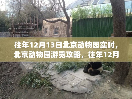 往年12月13日北京动物园游览攻略，完美体验指南