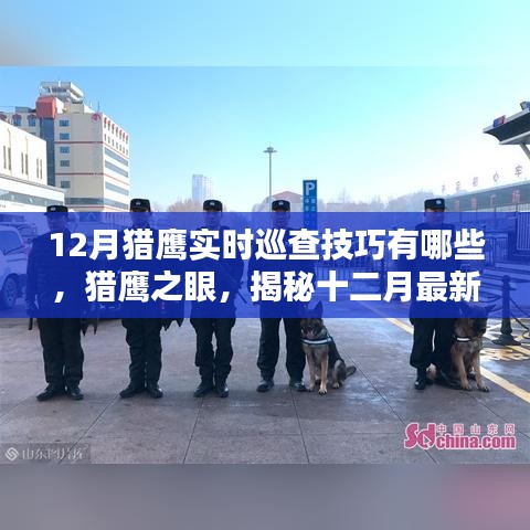 揭秘十二月猎鹰智能巡查系统，实时巡查技巧与高科技魅力展现猎鹰之眼的力量