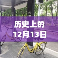 历史上的实时公交网诞生与发展回顾，聚焦十二月十三日的重要时刻