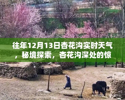 揭秘杏花沟秘境，特色小店与实时天气探索之旅