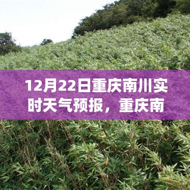 重庆南川天气预报之旅，变化中的学习，铸就自信与力量的未来
