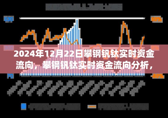 攀钢钒钛实时资金流向观察与分析，2024年12月22日的观点与洞察