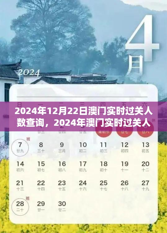 澳门实时过关人数查询指南，掌握出入境动态，了解澳门出入境最新动态（2024年）