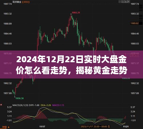 揭秘黄金走势，如何解读2024年黄金大盘实时走势分析预测及金价趋势展望