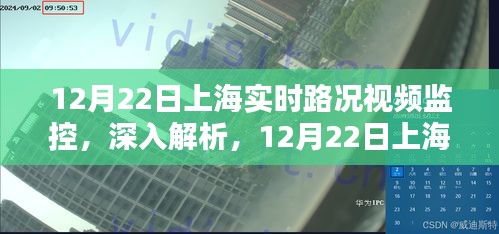 小鸟依人 第2页