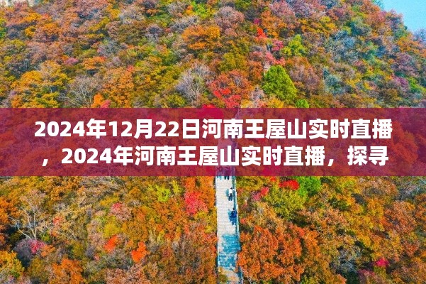 河南王屋山自然秘境探寻，多元观点的实时直播之旅（2024年12月22日）