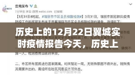 历史上的12月22日翼城实时疫情报告深度解析与反思，今日疫情分析与某某观点的探讨