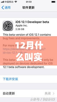 揭秘实时生成文件，重塑未来办公体验的科技前沿新功能，揭秘十二月新功能亮点