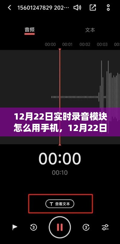 12月22日实时录音模块手机应用解析与使用之道，多方观点碰撞
