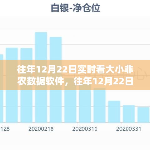 往年12月22日实时大小非农数据软件评测与介绍，全面洞悉数据动态，洞悉市场趋势