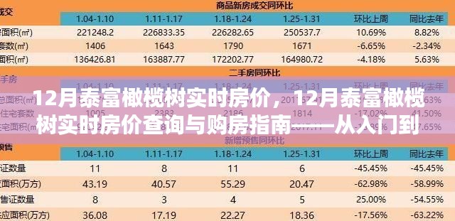 12月泰富橄榄树实时房价详解，购房指南与查询攻略