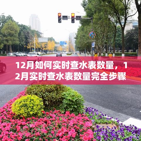 12月水表实时查数量完全指南，初学者与进阶用户的步骤教程
