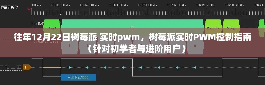 树莓派实时PWM控制指南，从入门到精通的教程