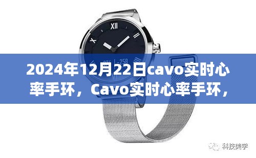 骈首就僇 第2页