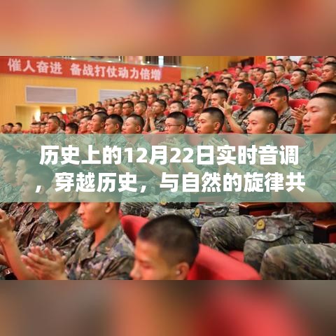 寻找内心平静的奇妙旅程，历史上的12月22日实时音调与自然的旋律共舞