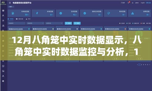 12月八角笼中实时数据监控与分析，操作指南及数据解读