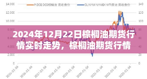 棕榈油期货行情分析，实时走势解读与未来展望（2024年12月22日）