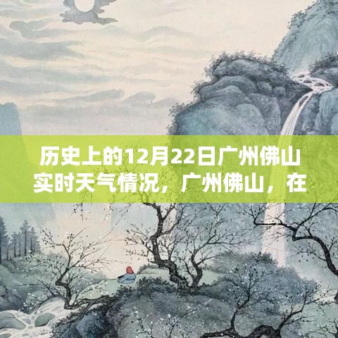 冬至日广州佛山实时天气探索，自然美景与内心宁静的追寻