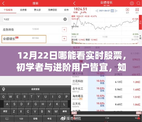 12月22日实时股票行情查看指南，适合初学者与进阶用户的详细步骤